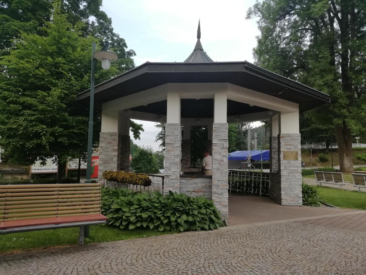 Apartmán Jestřáb 5 Janské Lázně Exterior foto